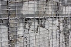 20190523_082428-rotated