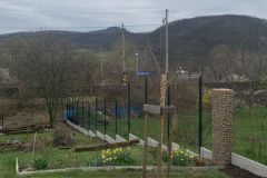 IMG-20230407-WA0002